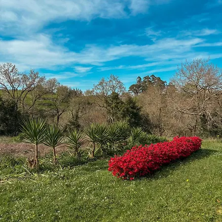 Casa Val De Vida לינה וארוחת בוקר 3*