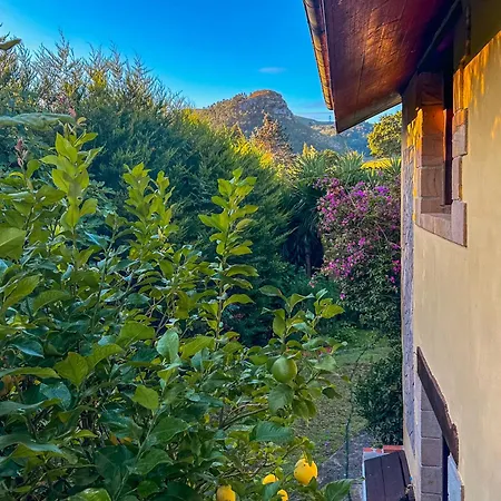 Casa Val De Vida La Cavada
